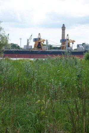 Latarnia morska Świnoujście